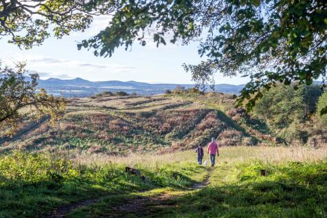 Local area image of Cammo Estate