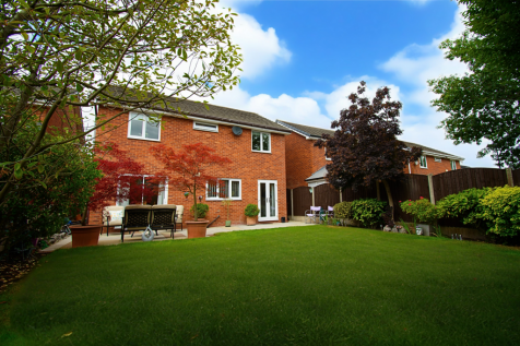 Untitled (5200 x 3900 px) (5200 x 3450 px) (6000 x