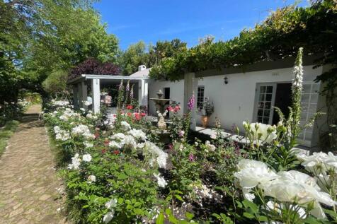 Beautiful Rose garden to welcome you