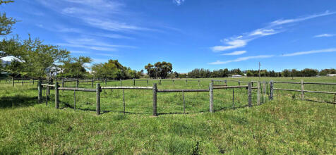 Training Circle for Horses