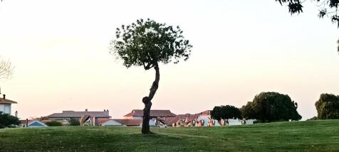 Springbok and other small antelope roam free on the estate