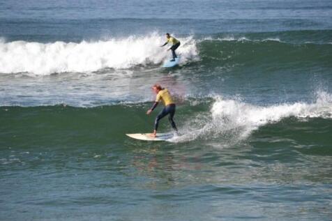 surf