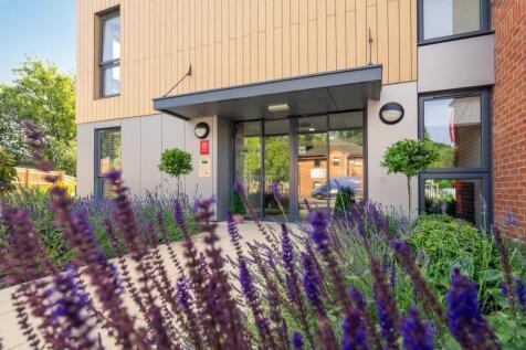 Violet Place Exterior