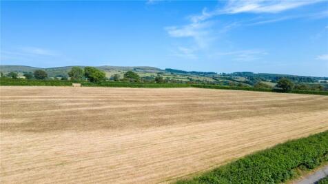 Fields