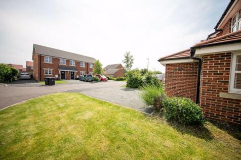 Front garden and driveway
