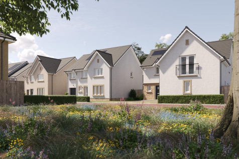 pinefields, livingston