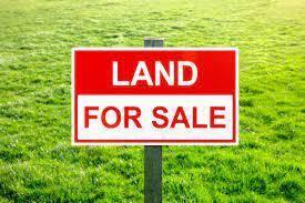Graziing Land (13).jpg