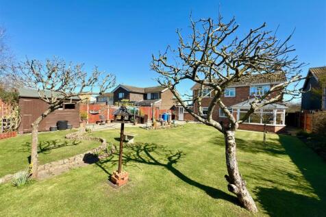 BACK GARDEN.jpg