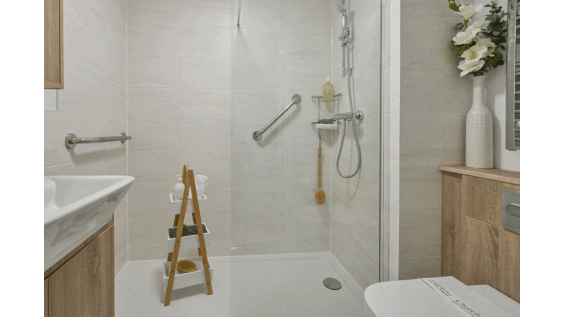 Example Shower Room