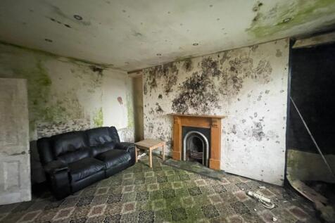 IMG 2472 T202512041246.jpeg