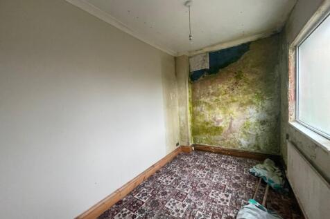 IMG 2475 T202512041246.jpeg