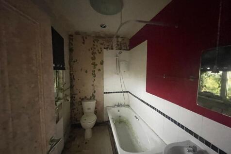 IMG 2469 T202512041246.jpeg