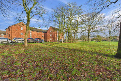 CAM02494G0-PR0080-STILL027