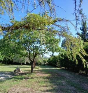 Property Image 58