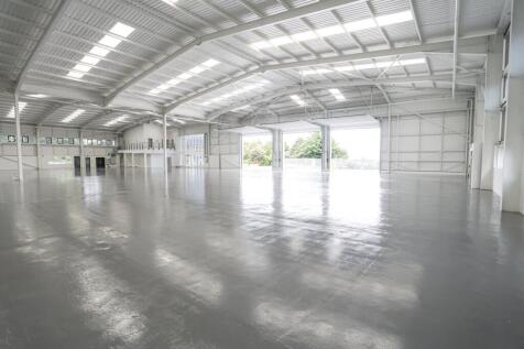 IMG_1926 RET copy.jpg