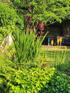 14 Couching Street Garden 4.jpg