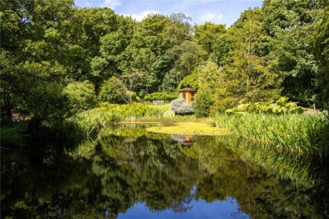 Pond