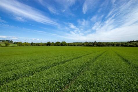 Arable Fields