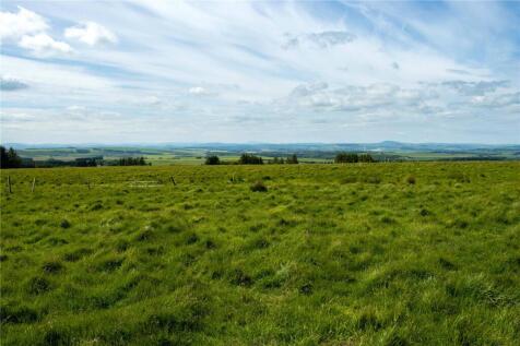 Hill Pasture
