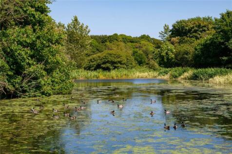 Pond
