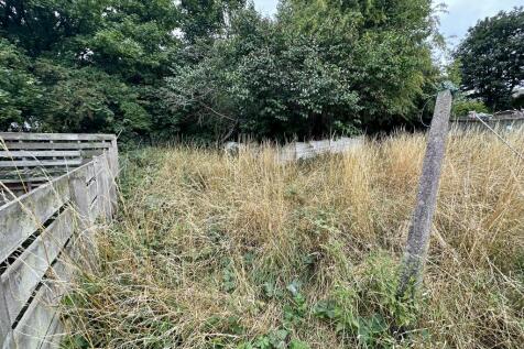 IMG 3050 T202507301138.jpeg