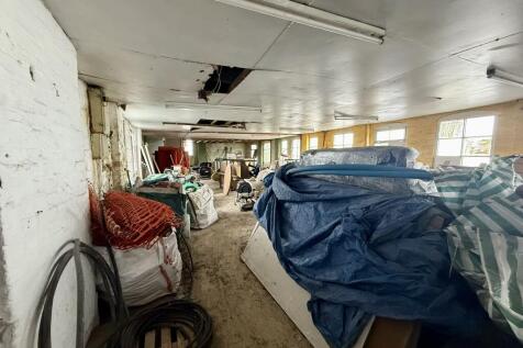 IMG 2682 T202510091423.jpeg