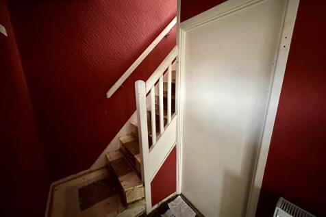 IMG 4334 T202511291245.jpeg