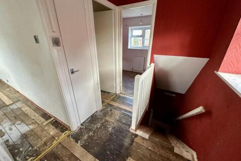 IMG 4340 T202511291245.jpeg