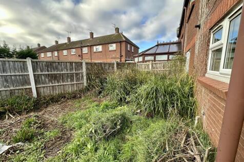 IMG 4347 T202511291245.jpeg