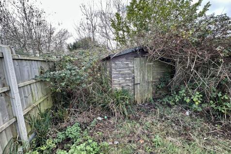 IMG 4348 T202511291245.jpeg