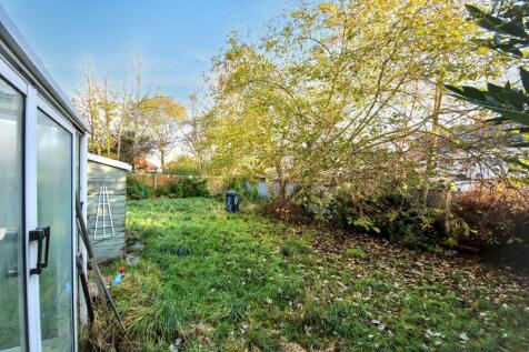 20251203113825 IMG 0012 UncZU T202512031211.jpg