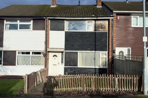 IMG 3166 T202601302159.jpg