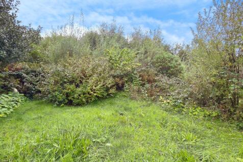 9314eb1a-OBERON-03 T202509291401.jpg