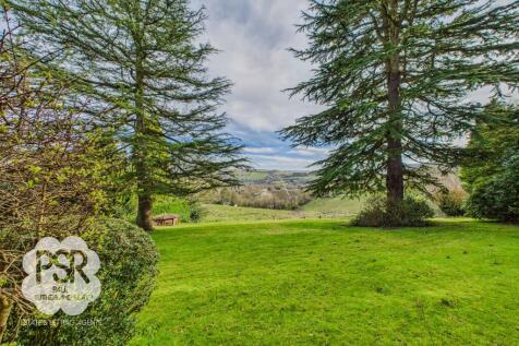 Rear Garden Lawns