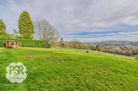 Rear Garden Lawns