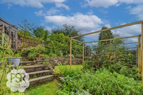 Allotment Growing Patch