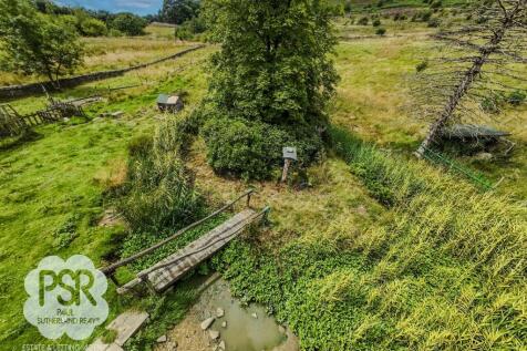 Upper Field Area with Pond