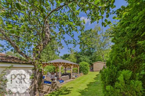 Side Garden with Apple Tree