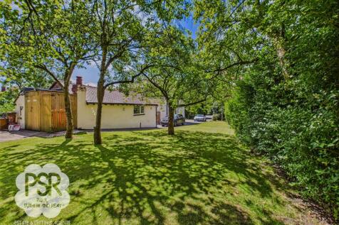 Orchard with Apple and Plum Trees