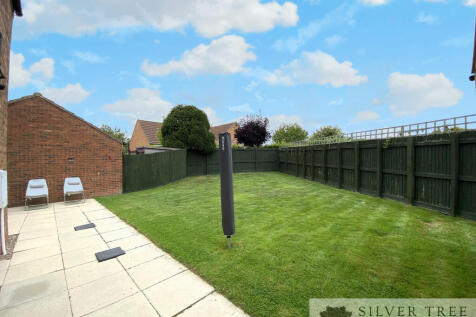 PICNIC_20250731_180613508