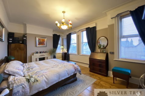 Gemini_Generated_Image_amc14kamc14kamc1