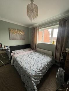 IMG_1701 Medium.jpeg