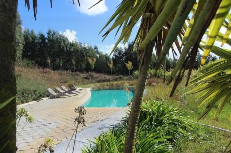 Property Image 58
