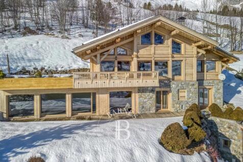 2025/01/15 Chinaillon (Coslin)