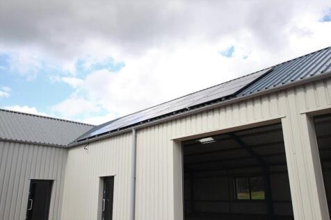 IMG_1737  Copy 2.JPG