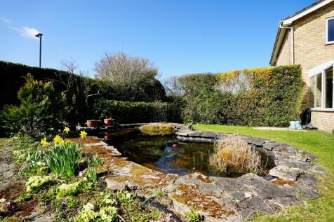 Property Image 23