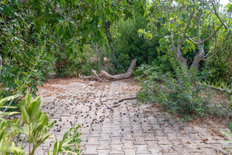 62_Masseria Piccinna_Maruggio_Raro Realty