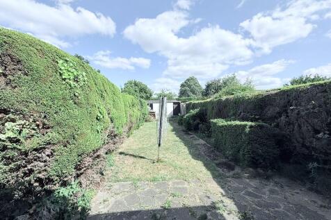 WhatsApp Image 20...