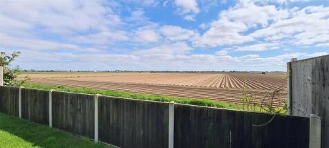 Field Views