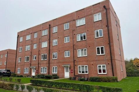 WhatsApp Image 20...